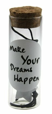 Geluksbuisje make your dreams happen met gelukspoppetje ster